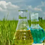 1740136999_Agro Chemicals.webp